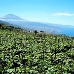 Paraiso Tranquilidad Vistas Mar Y Teide *