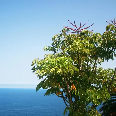 Lejlighed Paraiso Tranquilidad Vistas Mar Y Teide *