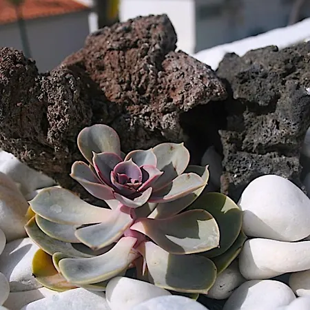 Paraiso Tranquilidad Vistas Mar Y Teide Διαμέρισμα