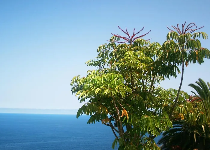 Apartamento Paraiso Tranquilidad Vistas Mar Y Teide *