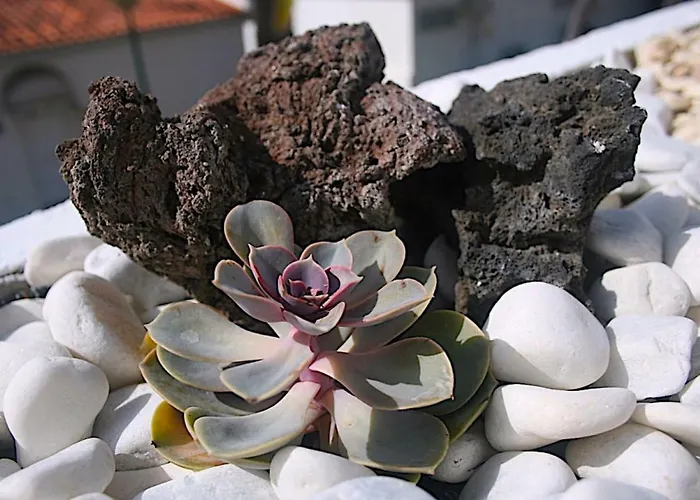 Paraiso Tranquilidad Vistas Mar Y Teide Apartamento