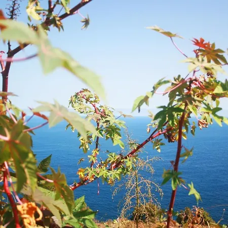 Paraiso Tranquilidad Vistas Mar Y Teide Apartamento