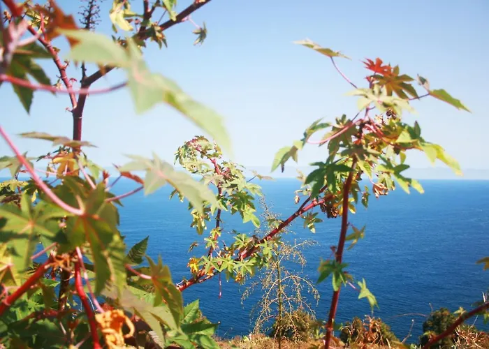Paraiso Tranquilidad Vistas Mar Y Teide Apartment