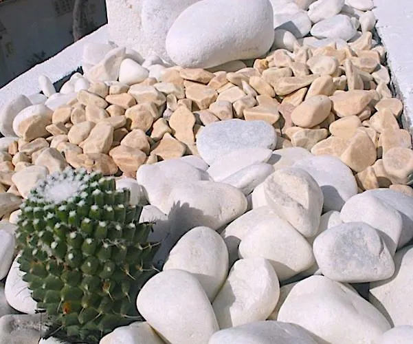 Paraiso Tranquilidad Vistas Mar Y Teide *