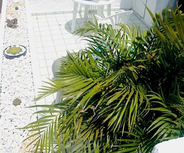 Daire Paraiso Tranquilidad Vistas Mar Y Teide *