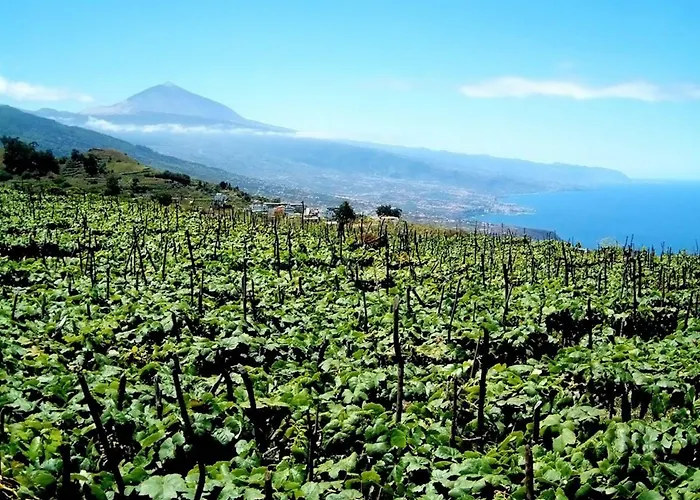 Paraiso Tranquilidad Vistas Mar Y Teide *