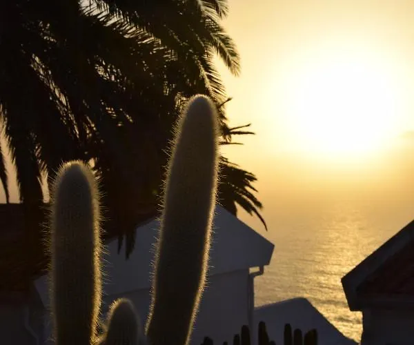 Paraiso Tranquilidad Vistas Mar Y Teide *